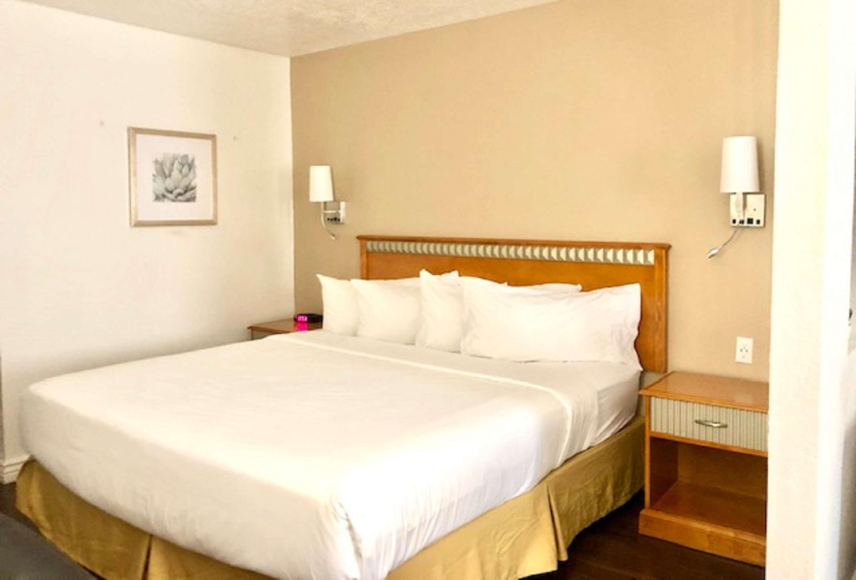 Surestay Plus Hotel By Best Western Albuquerque I-40 Eubank Екстериор снимка