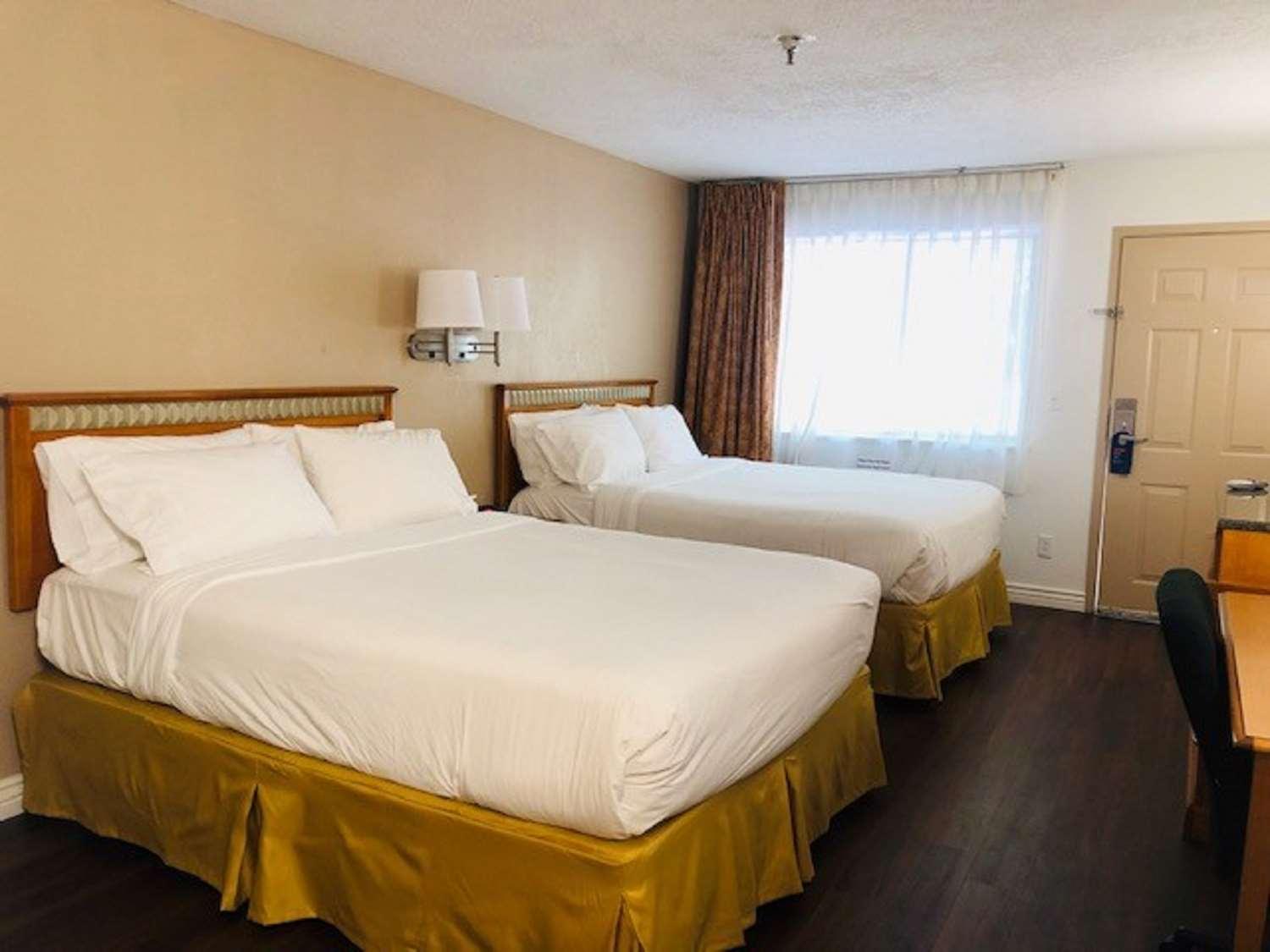 Surestay Plus Hotel By Best Western Albuquerque I-40 Eubank Екстериор снимка